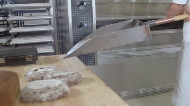 Üzerinde Parçacıkları Olan Taze Pişmiş Çavdar Ekmeği Delikli Metal Bir — Stok video