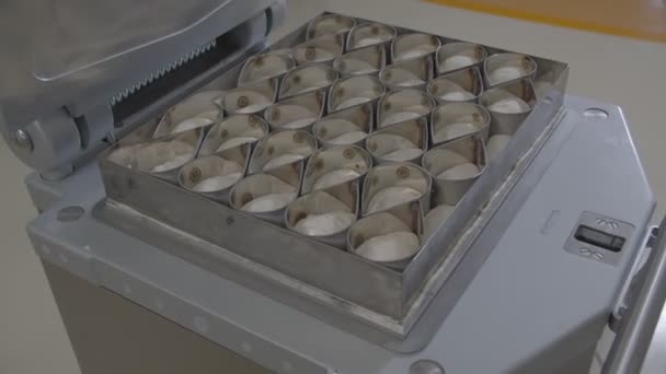 Padeiro Forma Farinha Usando Moldes Metálicos Prensa Máquina Massa Movimento — Vídeo de Stock