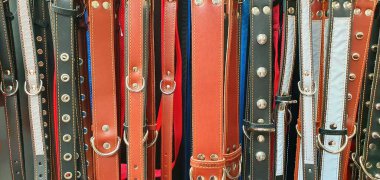 El yapımı deri köpek tasması, doğal deri arka plan.