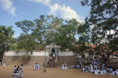 Anuradhapura, Sri Lanka - 10 Aralık 2011: Beyaz cüppeli insanlar antik Poya festivalinde kutsal Bodhi ağacı ile 6 metrelik terasın yakınındalar..