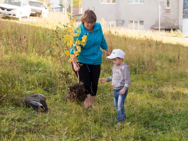 Belogorsk Kemerovo Region September 2017 Mor Och Son Planterar Bollrotsplantor — Stockfoto