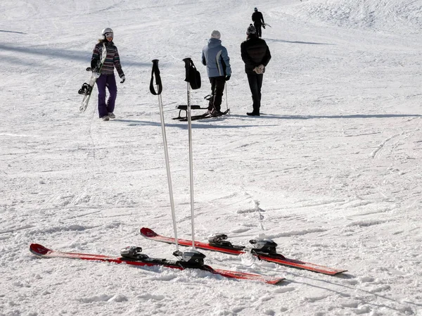 Salanga Región Kemerovo Febrero 2017 Esquís Alpinos Con Bastones Parados —  Fotos de Stock