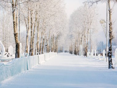 Krasnoyarsk kentindeki Tatyshev Adası 'nda buz heykelleri olan bir ara sokakta kavak ağacı dikiliyor. Krasnoyarsk bölgesi. Rusya.
