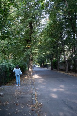 Mavi kotlu ve bluzlu bir kadın, ıssız bir caddede, büyük ağaçlı bir yere bakar.