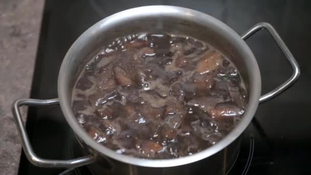 Champignons assortis sont cuits dans une casserole, cuisine maison — Video