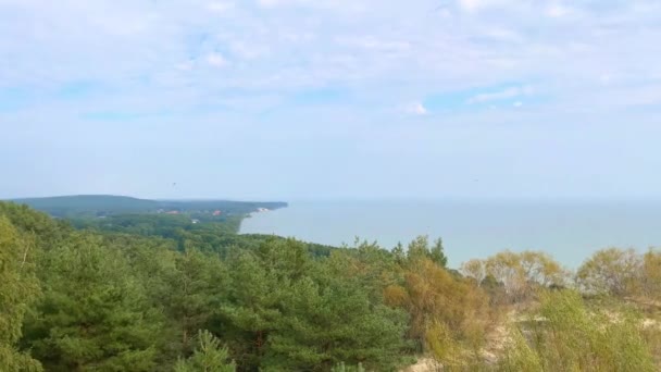 展望台から森、海、雲へのパノラマ — ストック動画