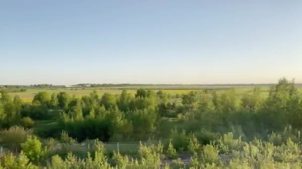Widok z okna jadącego pociągu na łąki, drzewa, pola o zachodzie słońca na czyste niebo — Wideo stockowe