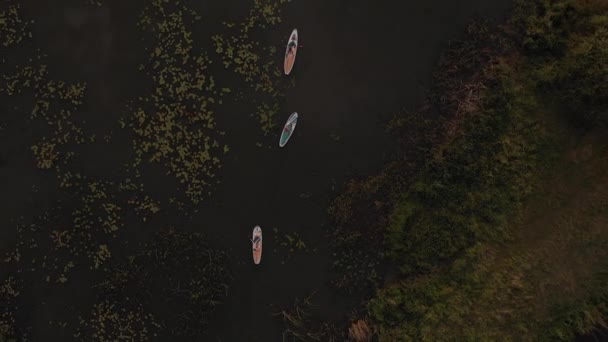 Вид Сверху Туристов Озеро Sup Досками Чистая Вода Люди Плавают — стоковое видео