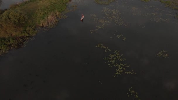 Vedere Top Turiștilor Lac Plăci Sup Apă Limpede Frumoasă Oameni — Videoclip de stoc