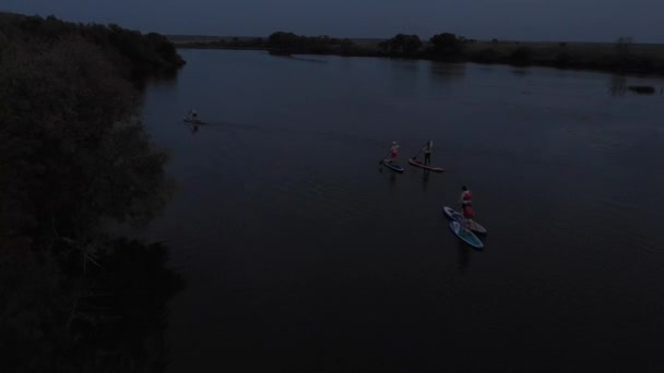 Supボード付きの湖での観光客のトップビュー サーフィンに従事ボード上に浮かぶ人々と美しい澄んだ水 背景の水平線に人が乗っている風景 — ストック動画