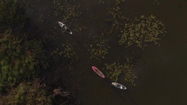Göldeki SUP tahtalı turistlerin en iyi görüntüsü. Sörf yapan insanlarla dolu güzel, berrak bir su. Arka planda kürek çeken insanların olduğu deniz manzarası