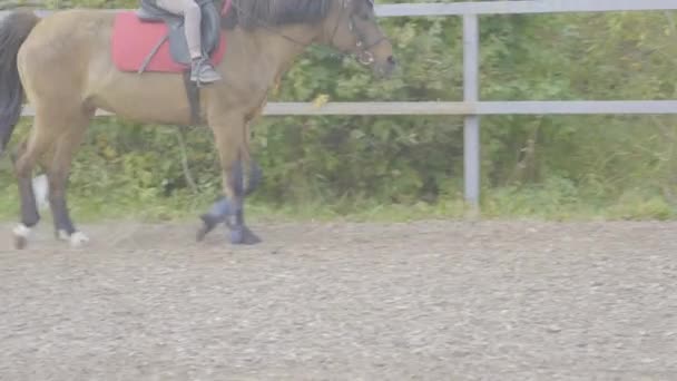 Child Special Needs Riding Close Supervision Teacher Treatment Called Hippotherapy — Stock Video