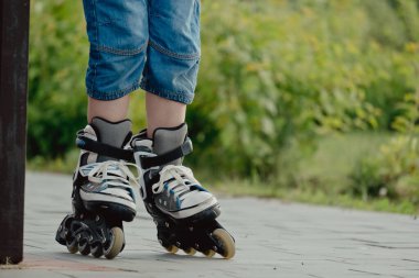 Koruyucu ekipman ve patenler içinde küçük bir çocuk parkta yürüyüş yolunda duruyor, alçak açılı.