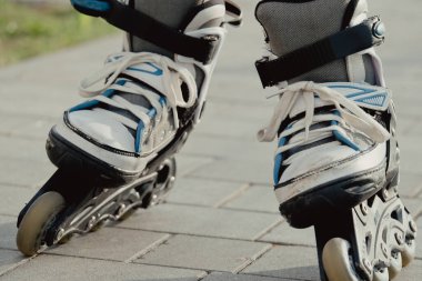 Koruyucu ekipman ve patenler içinde küçük bir çocuk parkta yürüyüş yolunda duruyor, alçak açılı.