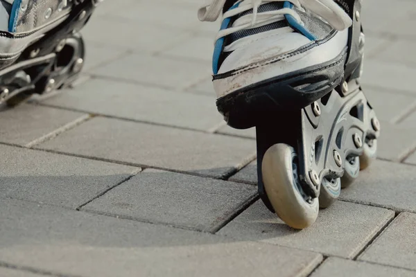 Koruyucu ekipman ve patenler içinde küçük bir çocuk parkta yürüyüş yolunda duruyor, alçak açılı.