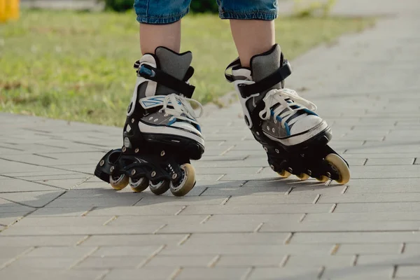 Koruyucu ekipman ve patenler içinde küçük bir çocuk parkta yürüyüş yolunda duruyor, alçak açılı.