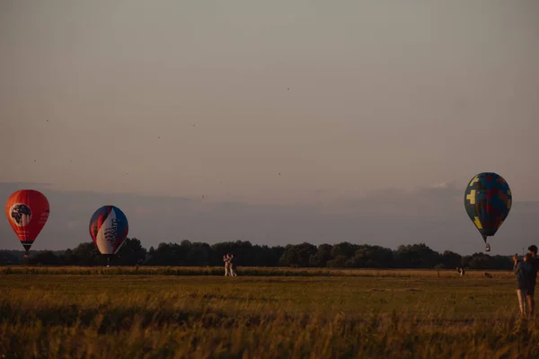 五彩缤纷的热气球在飞行 气球节 气球在天空和日落的背景下 沉默的大自然 夏天天气很好 — 图库照片