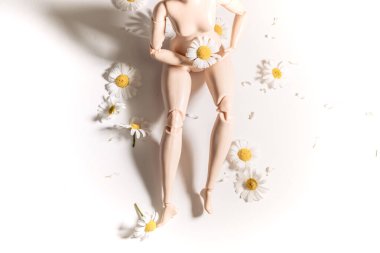 Çıplak kadın bebek, papatya çayına yalan söylemek, doğa sevgisi. Kadın sağlığının iltihaplanması kavramı