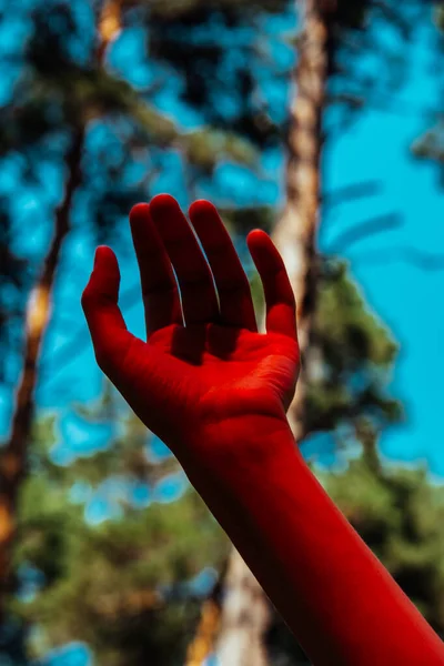 Foto Concettuale Elegante Mano Femminile Luce Rossa Contesto Della Foresta — Foto Stock