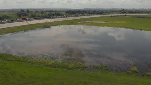 Aerial Two Wild Horses Wild Fields Nature Meadow Horse Breeding — Stock Video