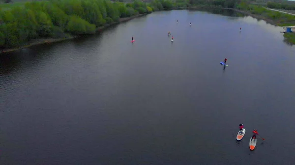 Luftbild Gruppe Aktiver Sportsurfer Der Auf Einem Surfbrett Mit Paddel — Stockfoto