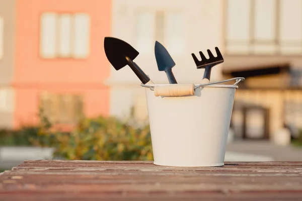 Conjunto Suministros Jardinería Cubo Blanco Sobre Fondo Natural Bienes Del — Foto de Stock