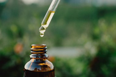 Boru ve bir şişe gerekli yağ. Okaliptüs yağı pipetten şişeye damlıyor, yakın plan. Yağlı damlalar kozmetik bir pipetten düşer..