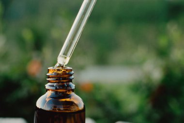 Boru ve bir şişe gerekli yağ. Okaliptüs yağı pipetten şişeye damlıyor, yakın plan. Yağlı damlalar kozmetik bir pipetten düşer..