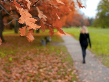 Seçici odaklanma. Açık hava sonbahar portresi. Düz sarı saçlı genç bir kadın. Orman doğası sonbaharda. 