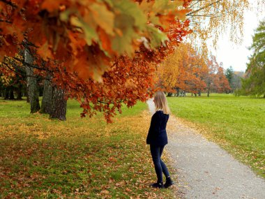 Seçici odaklanma. Arka plan bulanık. Şehir parkında yürüyen bir kızın arka görüntüsü. Açık havada genç bir kadının sonbahar portresi. Düz sarı saçlarıyla geriye doğru duruyor..