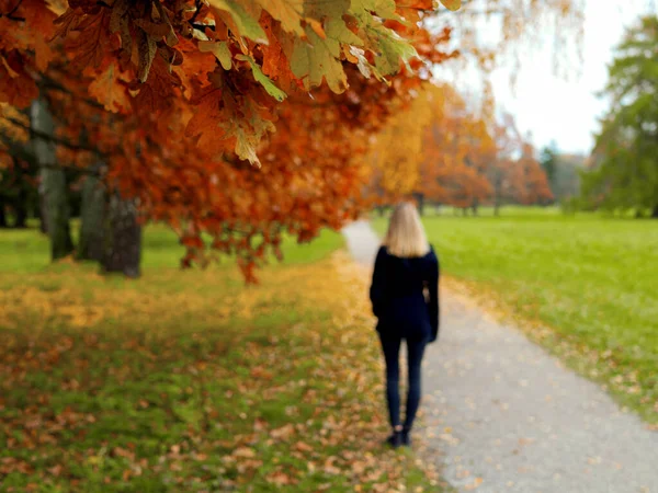 Seçici odaklanma. Açık hava sonbahar portresi. Düz sarı saçlı genç bir kadın. Orman doğası sonbaharda. 