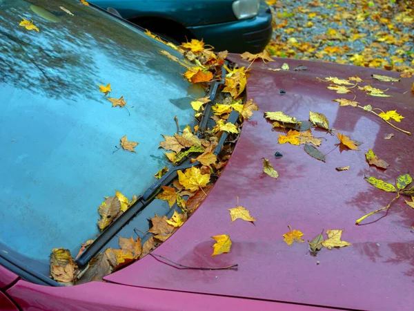 Folhas Outono Carro Frontal Rua — Fotografia de Stock