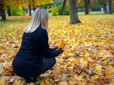 Genç kadın düşmüş renkli sonbahar yapraklarını topluyor.