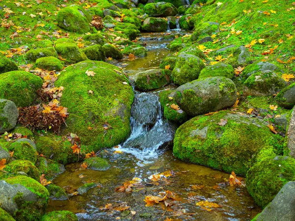 Japonya 'nın Aomori kentindeki Oirase Vadisi' ndeki Oirase Irmağı Yürüyüş Yolu boyunca dökülen yapraklar ve renkli yapraklarla Oirase Dağı 'nın sonbahar manzarası. 