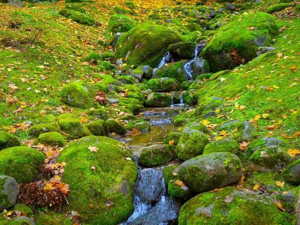 autumn view of Oirase mountain stream with the falling leaves and colorful foliage along the Oirase Stream Walking Trail at Oirase Gorge in Aomori, Japan.