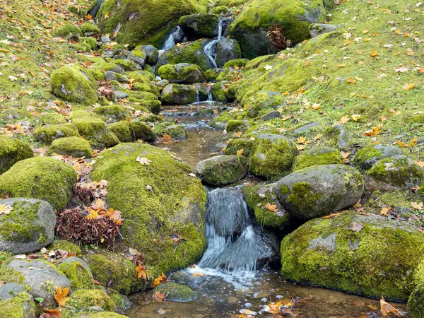 autumn view of Oirase mountain stream with the falling leaves and colorful foliage along the Oirase Stream Walking Trail at Oirase Gorge in Aomori, Japan.