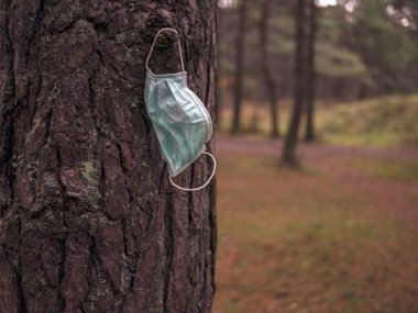 Kullanılmış tıbbi maske ağaçta duruyor. Covid-19 salgını nedeniyle karantina kirliliği. Virüs sezonu bitti. Tıbbi maske takıyorum. Bir Karantinanın Sonu. 