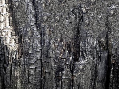 Kömürleşmiş kalas dokusu duvarı.