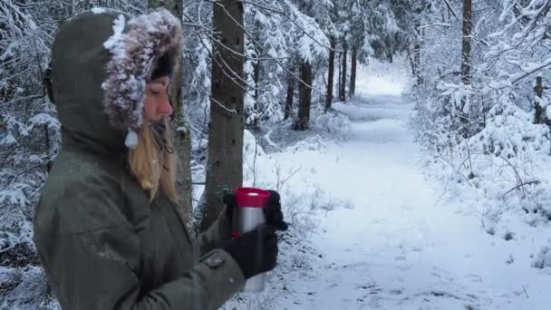 Snow Covered Trees — Stock Video