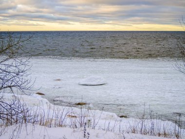 Kış boyunca Baltık Denizi kıyısında. Estonya