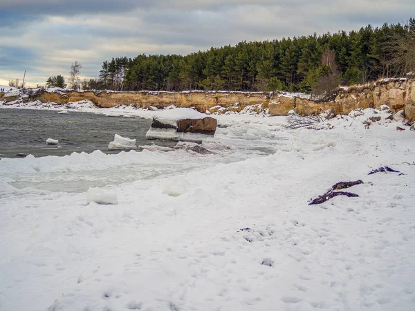 Árvores Uma Picareta Montanha Durante Inverno Penhasco Costa Mar Báltico — Fotografia de Stock