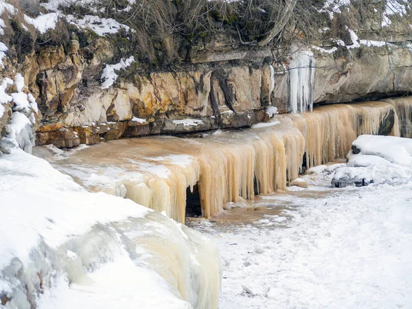 Copaci Culegere Munte Timpul Iernii Stâncă Coasta Mării Baltice Țara — Fotografie, imagine de stoc