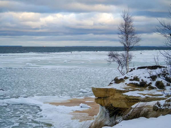 Árvores Uma Picareta Montanha Durante Inverno Penhasco Costa Mar Báltico — Fotografia de Stock