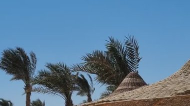  Yaz tatil köyü