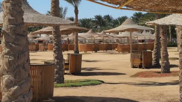 Mısır 'ın boş güneşlikleri — Stok video
