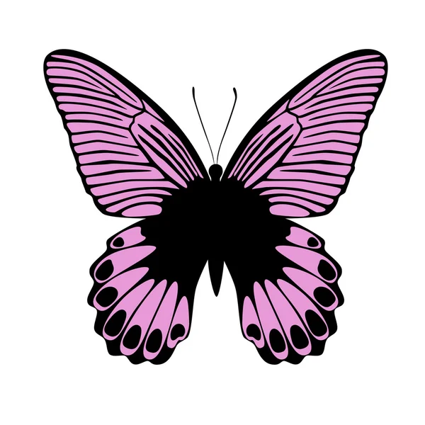 Mariposa rosa, ilustración vectorial — Vector de stock