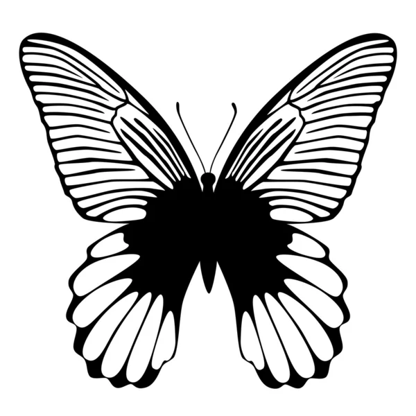 Black butterfly — Stock Vector