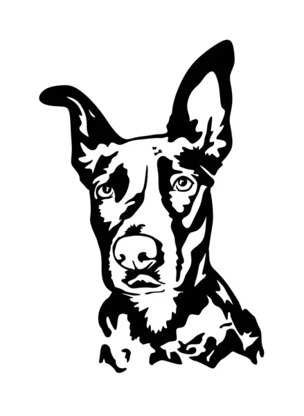 Chien Vecteur Noir Tête Visage Isoler Silhouette Contour Dessin Illustration — Image vectorielle