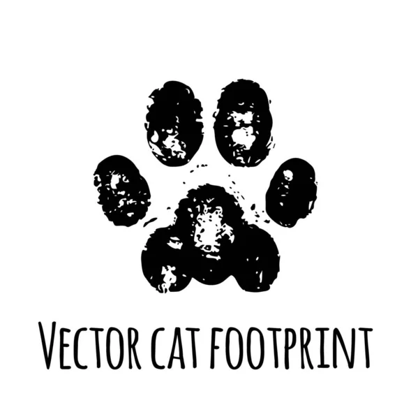 Vektorové Kočičí Šlápoty Black Pet Kitty Grunge Tlapky Značka Silueta — Stockový vektor