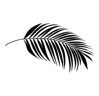 Palmiye Ağacı Yaprağı Kara Siluet Vektör Çizimi. Beyaz arka planda tropik yaprak gölgesi. Posterler, kartlar, fotoğraf, kaplama, baskı, plastik duvar çıkartması çıkartması. Çizici lazer kesme dosyası.